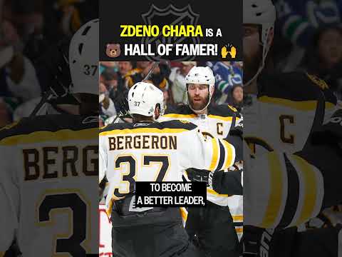 BIG Z to the HALL! 🐻🥳