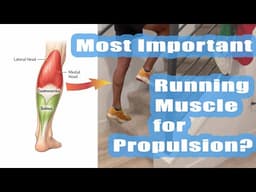 Running "Core" Strength Routine Exercises: Calf Raises by Coach Sage Canaday