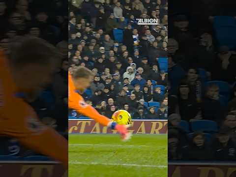 Bart’s BRILLIANT Double Save! 🤯👏 #brightonandhovealbion #premierleague #verbruggen