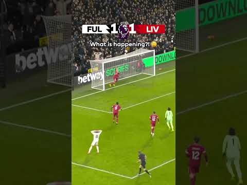 Van Dijk. Wilson. Chaos. 🍿