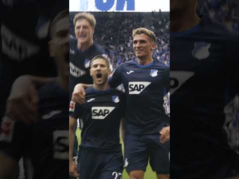 🥶🐐  #hoffenheim  #tsg #bundesliga #andrejkramaric