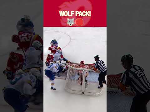 The Wolf Pack Protects the Net!