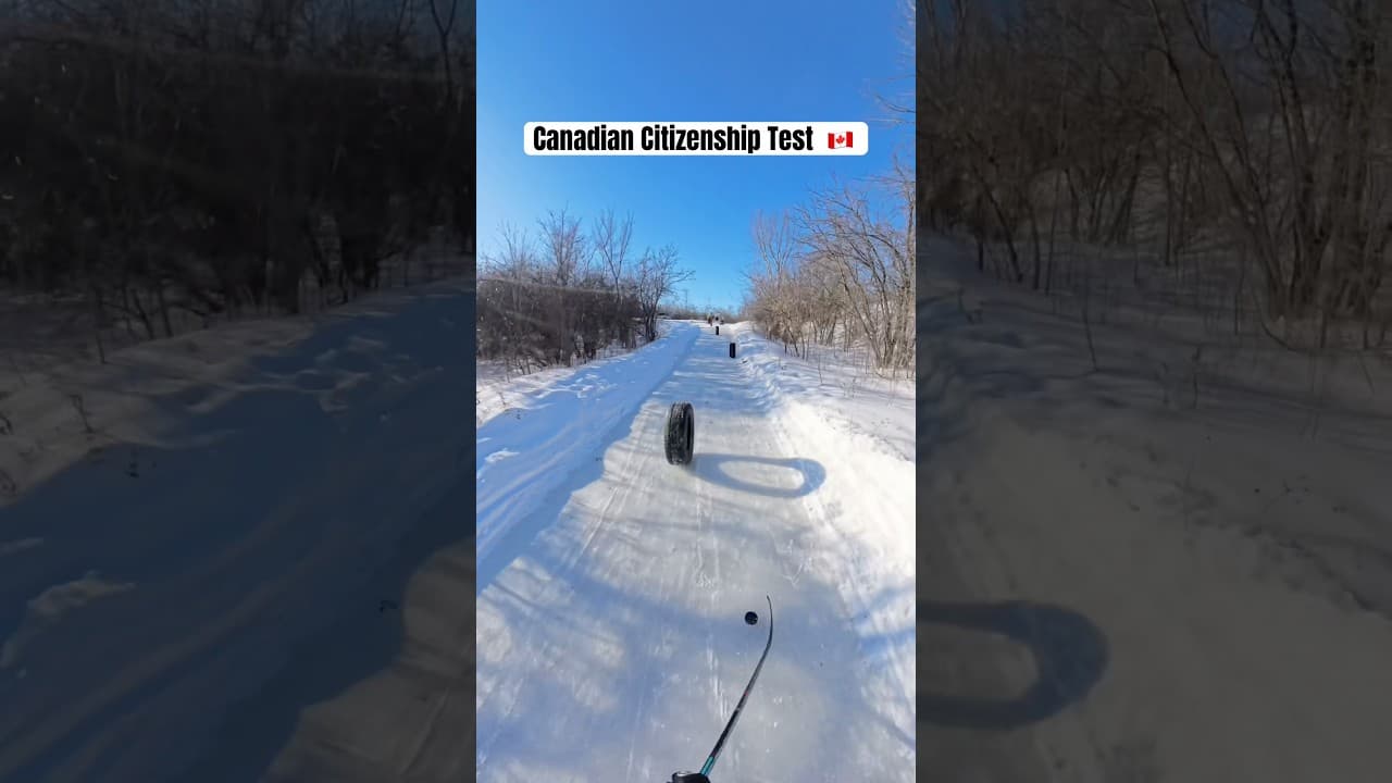 POV: Canadian Drivers Test 🇨🇦 #hockey #pavelbarber #canada