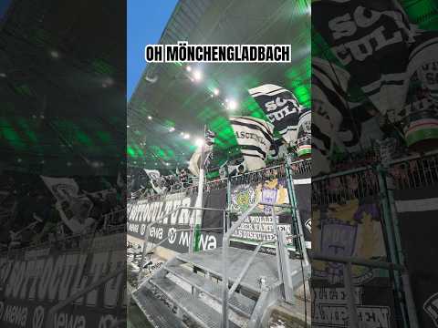 🎶 Oh Mönchengladbach…⚫️⚪️🟢 #dieFohlen