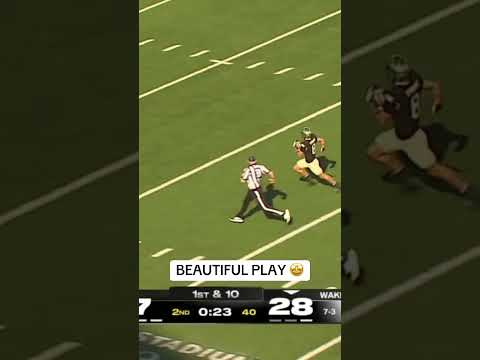 This was perfect pitch and catch 🔥 #wakeforest #collegefootball #accfootball #football #highlights