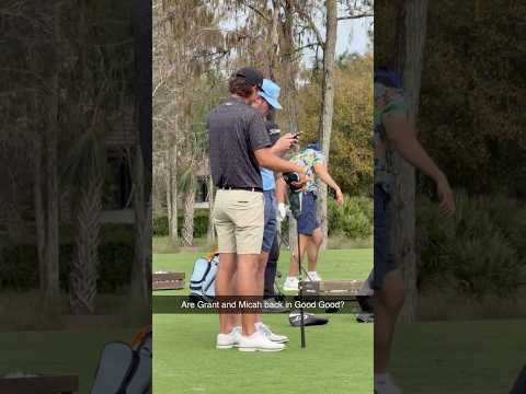 Is Grant Horvat back in Good Good? 😳