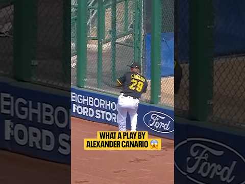 ALEXANDER CANARIO DID THAT.