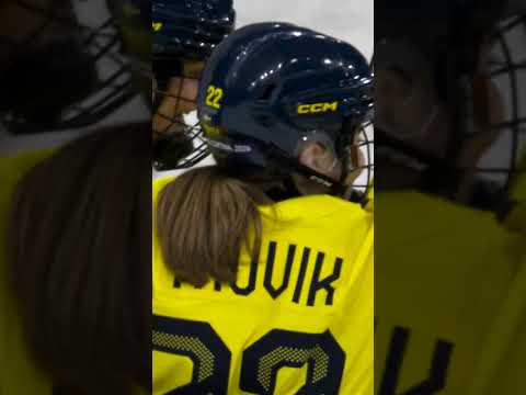 Pure DOMINANCE from Sweden 💪