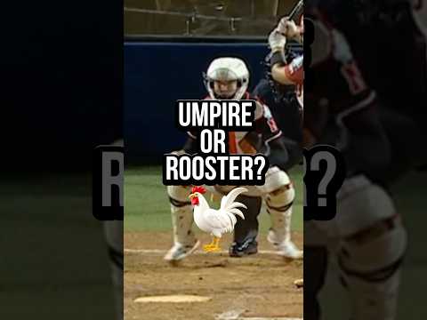 This is a unique strikeout call 🤣🐓#softball