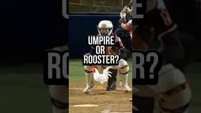 This is a unique strikeout call 🤣🐓#softball