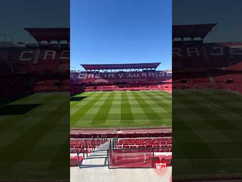 👌🏽🏟️ Todo preparado para #ElGranDerbi ❤️ #sevillafc #futbol #shorts