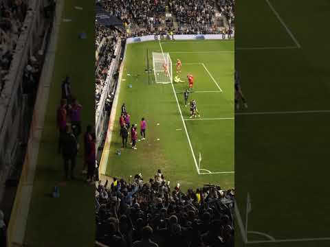 How it felt in the crowd when Indy Vassilev gave us the lead in Game 1.