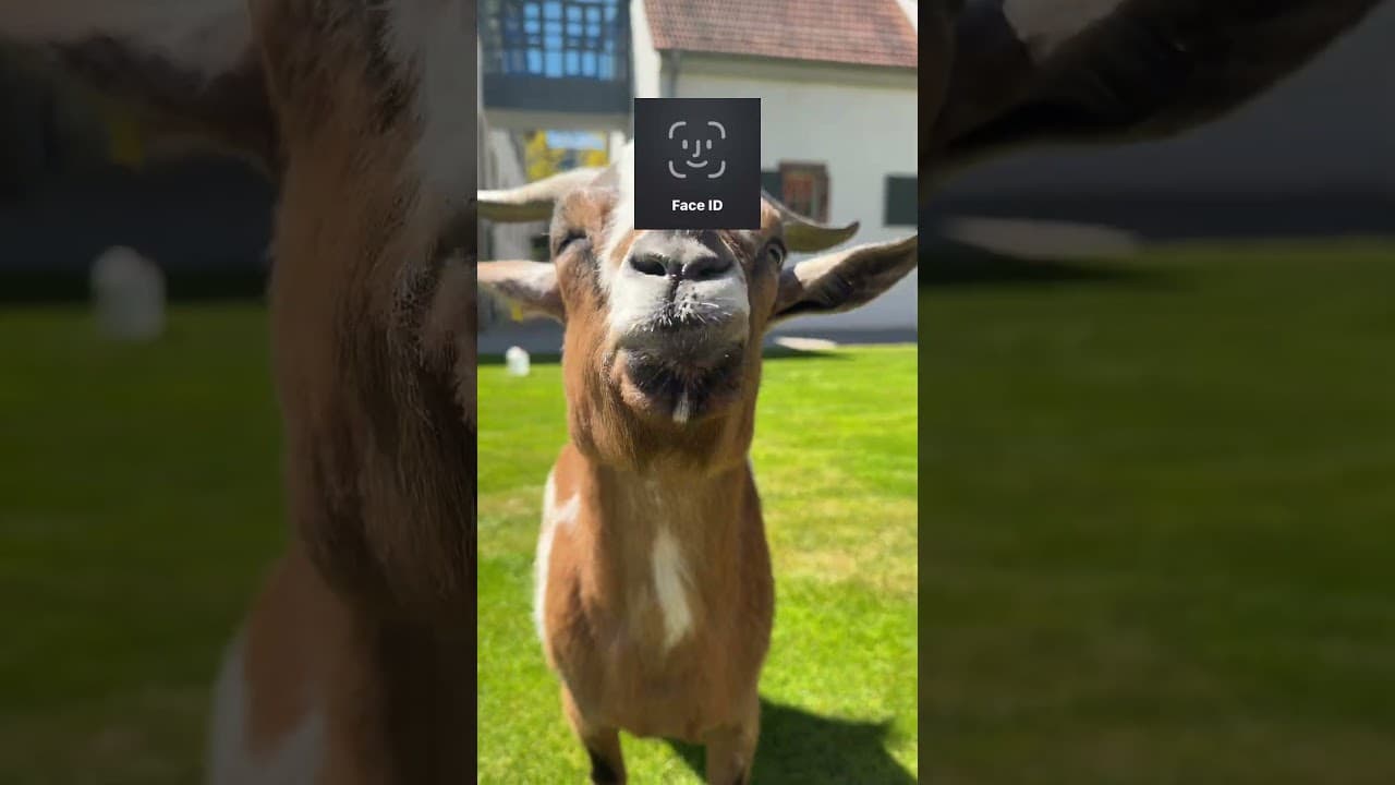 Es gibt nur einen TSGoat! 🐐 #tsg #tsgoat #andrejkramaric