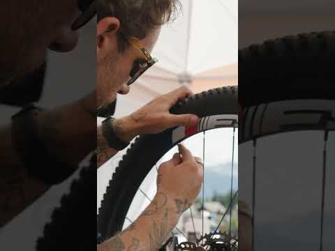 Down to every detail 👏 #shorts #ridecannondale #cannondale #mtb