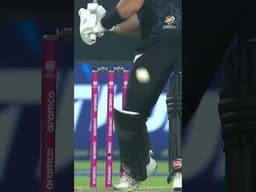 Finn Allen smashes it into the stands | T20WC 2026