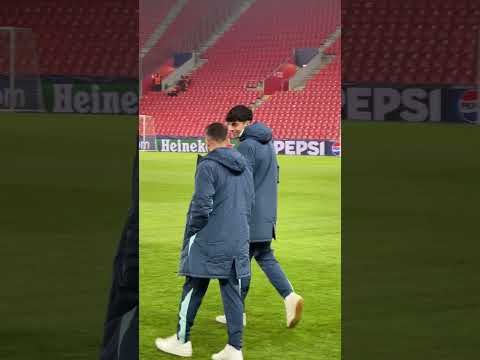 ¡Los leones ya han llegado al Fortuna Arena!