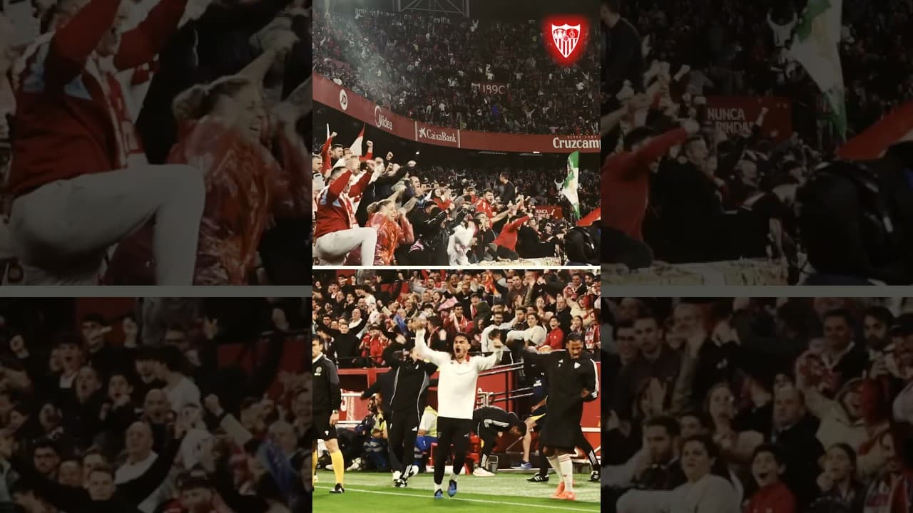 😍 Equipo + grada + banquillo 👏🏼 #sevillafc #football #shorts #laligahighlights