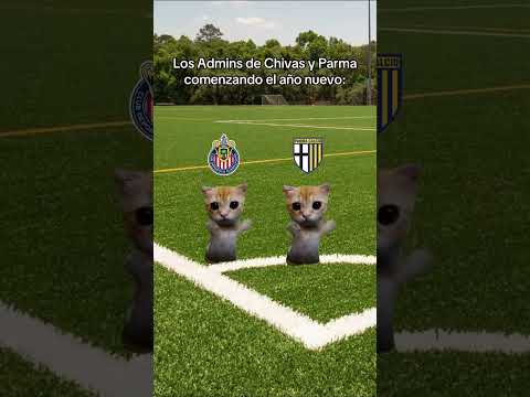 VAMOSSSSS #chivas #mexico #gatitos