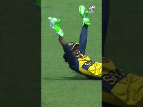 Spectacular fielding makes the @emirates Fly Better Moments on Day 4 of the #T20WorldCup 2026