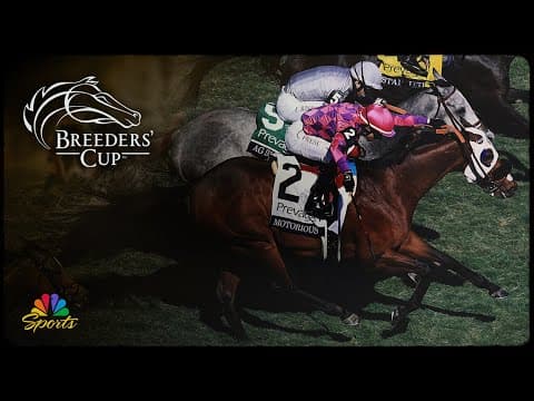 Betting the 2025 Breeders' Cup: Turf Sprint | NBC Sports