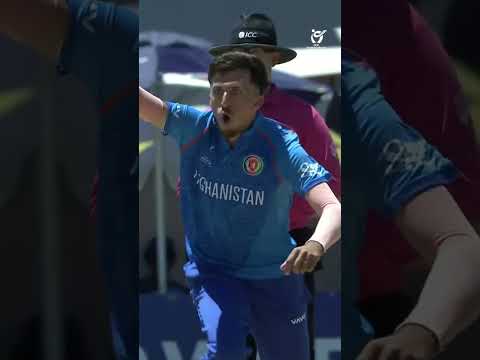 Wahidullah Zadran disturbs the stumps with a peach 😍 #U19WorldCup #CricketShorts