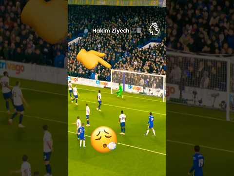 You Can't Get More TOP BINS Than This 🤯