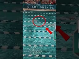 Stanford Swimmer Stops in Middle of 500 Free