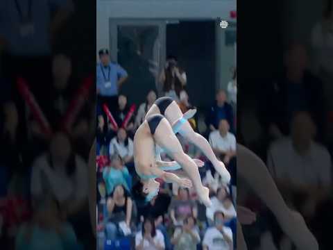 Incredible Chinese Diving Duo Lian Junjie & Yang Hao Highlights #diving