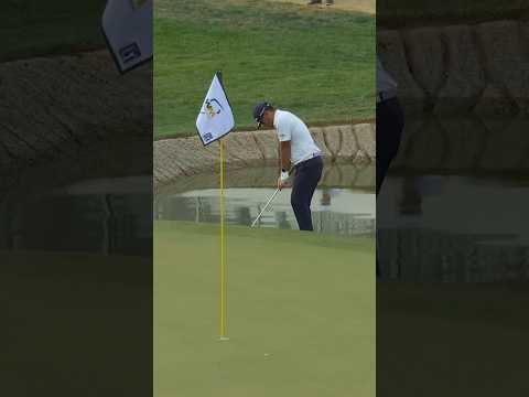 Water-ball birdie for Hisatsune💦🐥