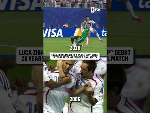 A Zidane in the FIFA World Cup, but this time in goal