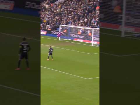 STUNNING Perri save on to post in FA Cup