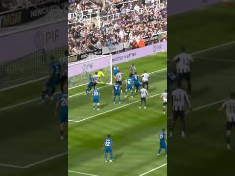 How did he save that?! 🤯 | #afcb #premierleague #save #football