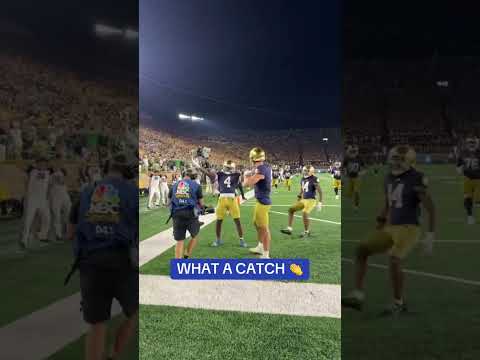 Two words: Jeremiyah. Love. 🤯🍀