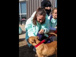 Happy Valentine's Day!