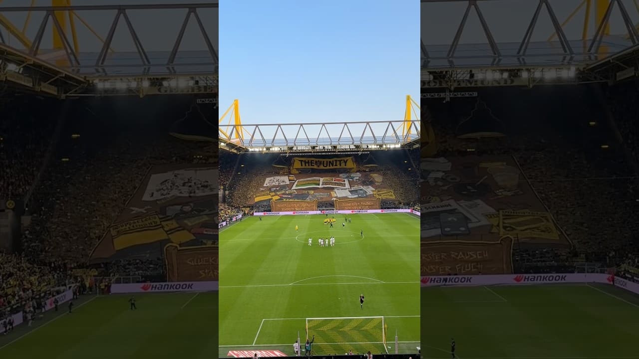 💛 THAT BVB TIFO 😍