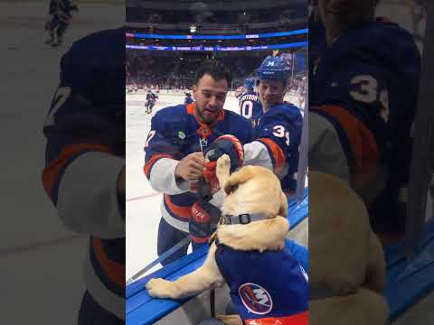 New York Islanders Players Say Hi to Marty During Warmups!