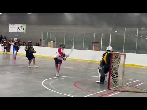 Alley-oop Lacrosse Goal