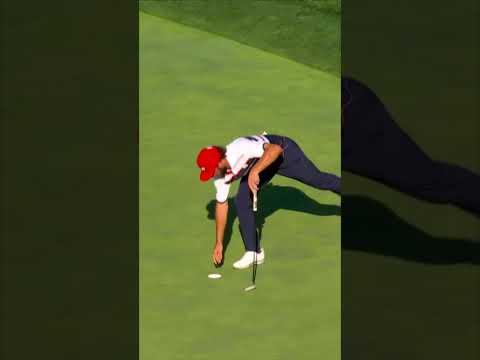 'CAMERON YOUNG HAS COME FULL CIRCLE' 👏