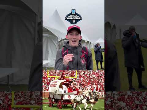 Can NCAA XC athletes outrun their school mascots? 💨 #shorts