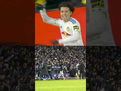 Farke and dugout LIMBS after 96th-minute equaliser against Liverpool
