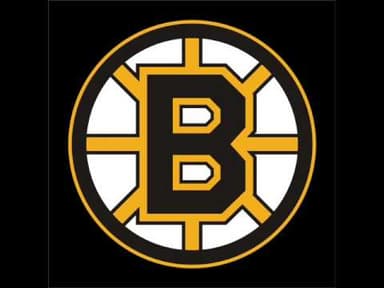 Boston Bruins Logo