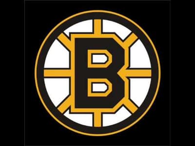 Boston Bruins Logo