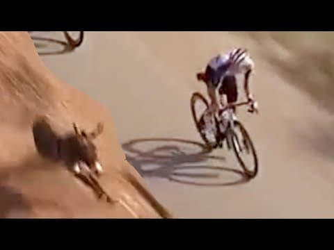 Cyclist Herds a Donkey Away Using his Bike?! Tour of Oman 2026 Stage 1