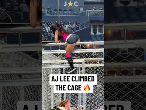 AJ Lee climbed the cage 🔥