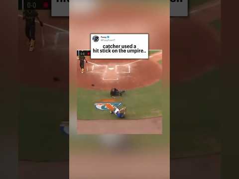 he trucked the umpire 😂