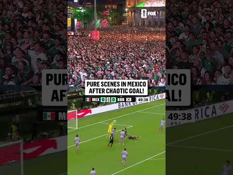 INSANE REACTION TO MEXICO'S FIFA WORLD CUP GOAL