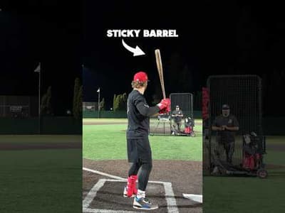 STICKY BAT | Does this actually work?