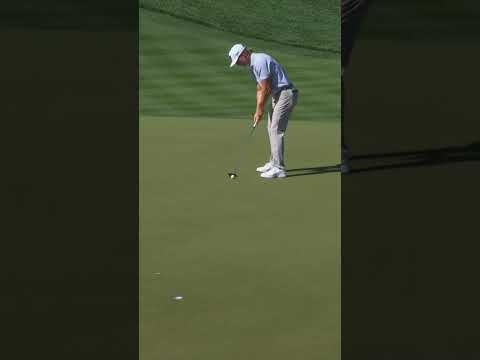 Don't take a nap on Knapp😴