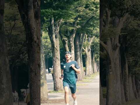 Tokyo Daily insights- Day 2