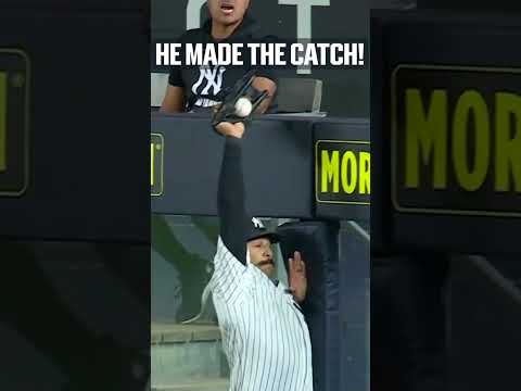 Trent Grisham makes a GREAT leaping catch at the wall! 🆙